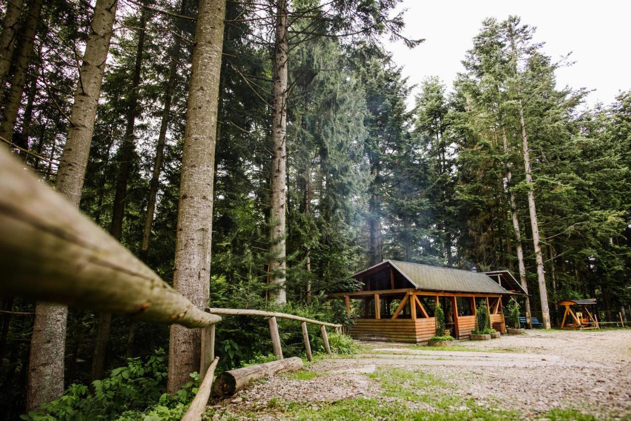 Zelenyy Bir Hotel Skhidnytsia Luaran gambar
