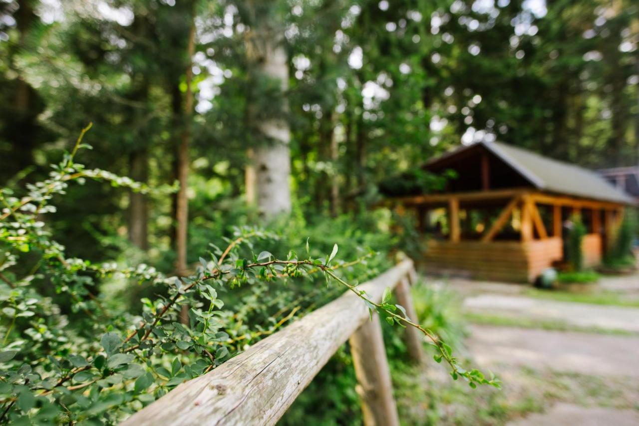 Zelenyy Bir Hotel Skhidnytsia Luaran gambar