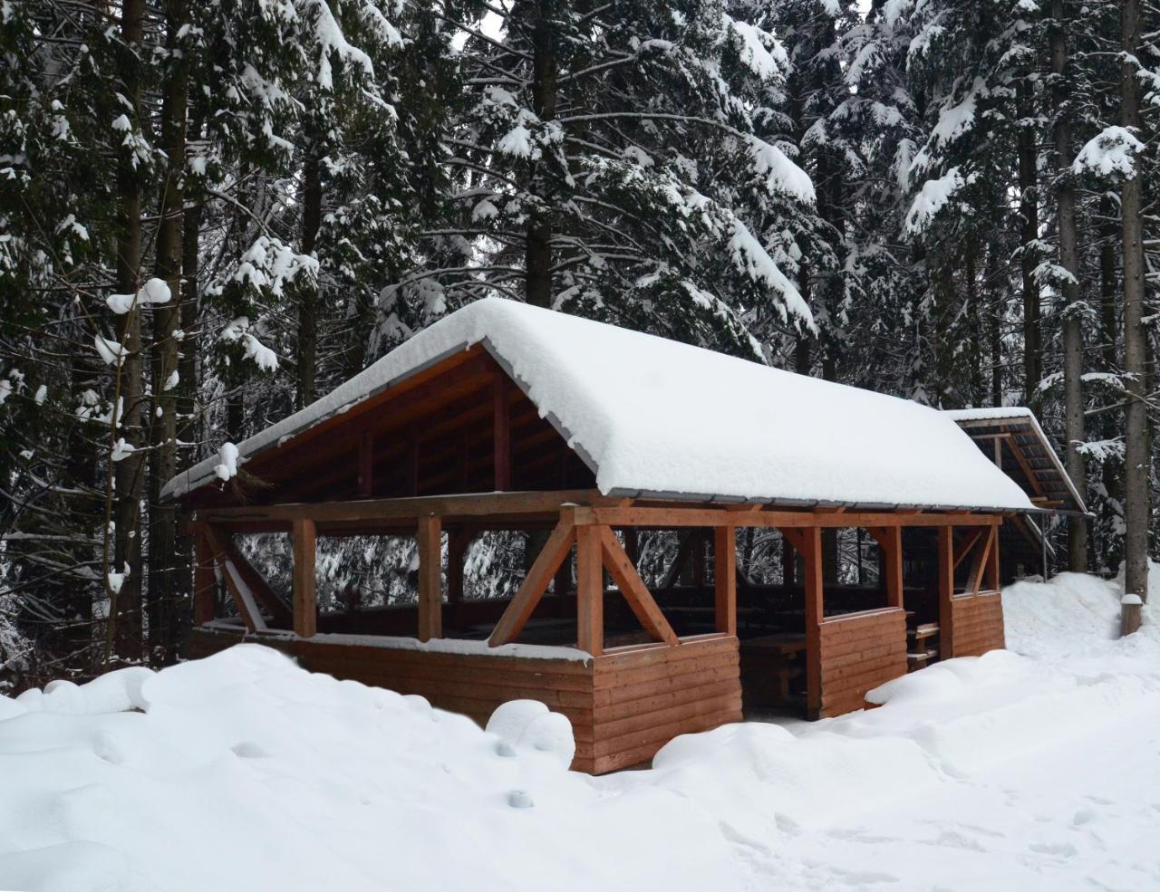 Zelenyy Bir Hotel Skhidnytsia Luaran gambar
