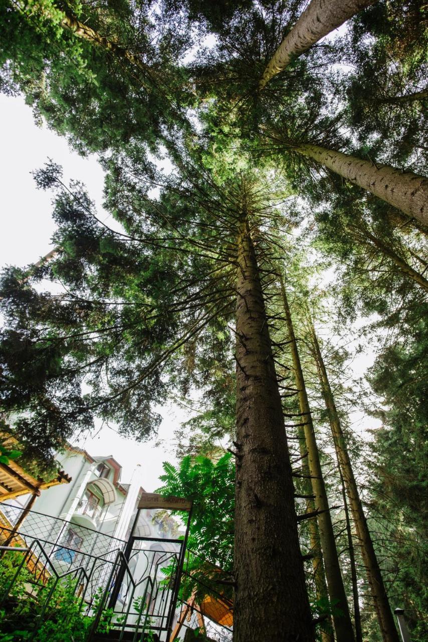 Zelenyy Bir Hotel Skhidnytsia Luaran gambar
